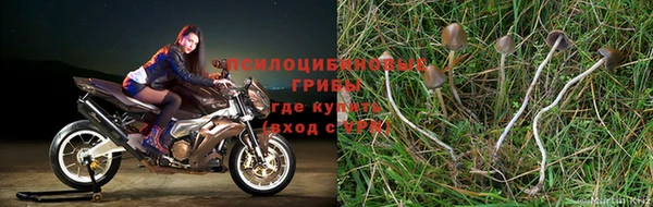 таблы Балахна